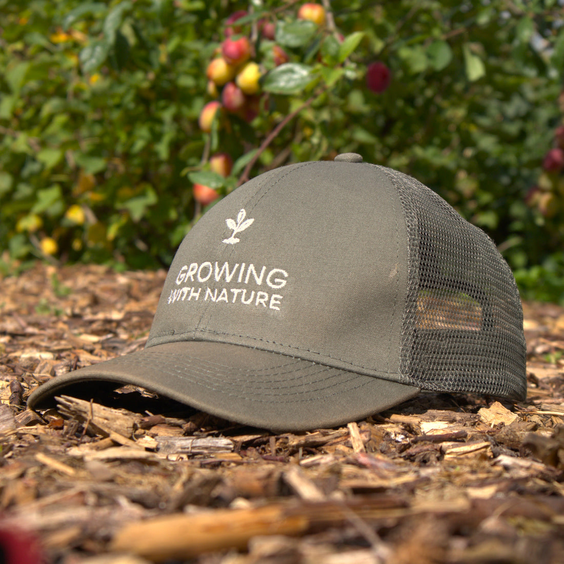 Organic Growing Cap