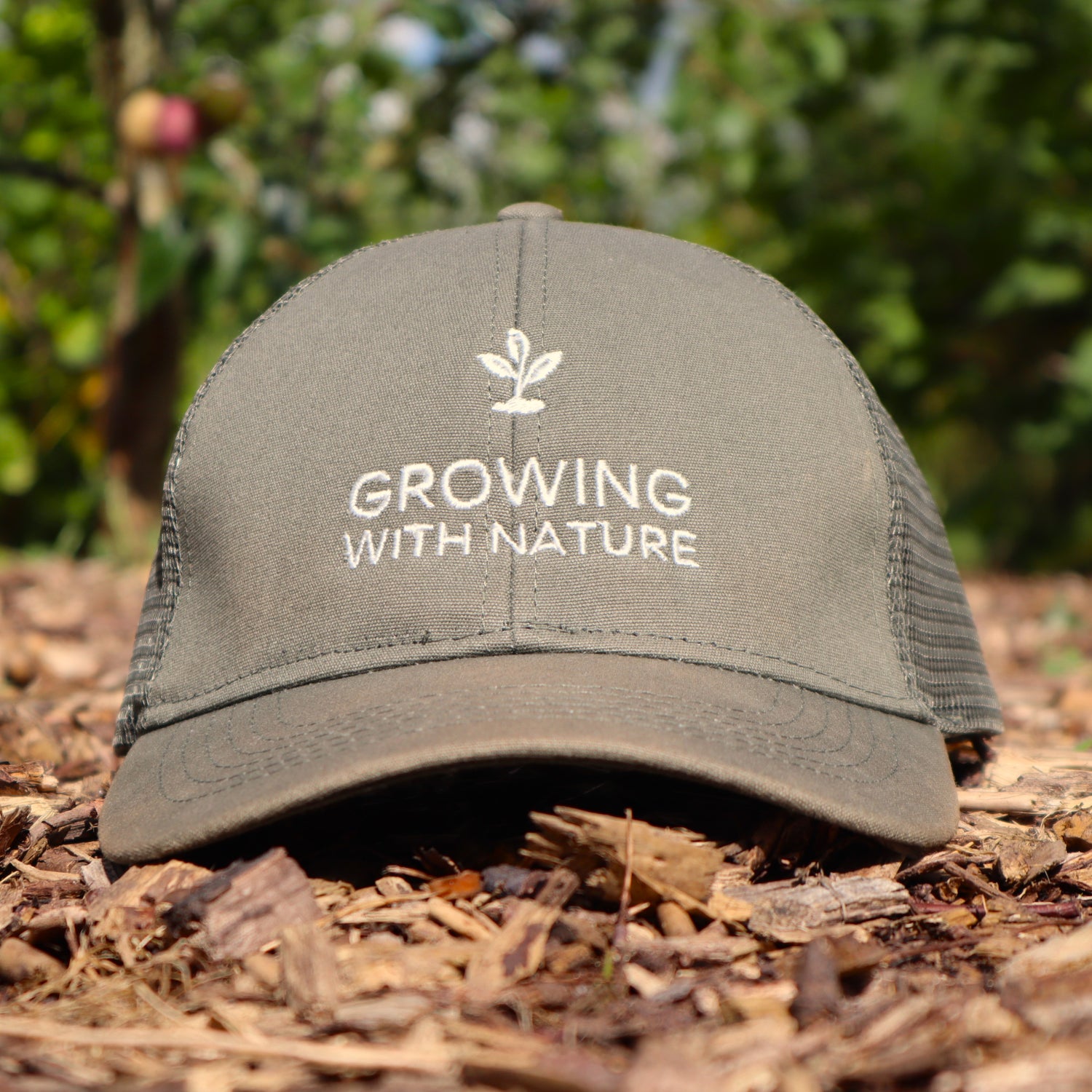 Organic Growing Cap